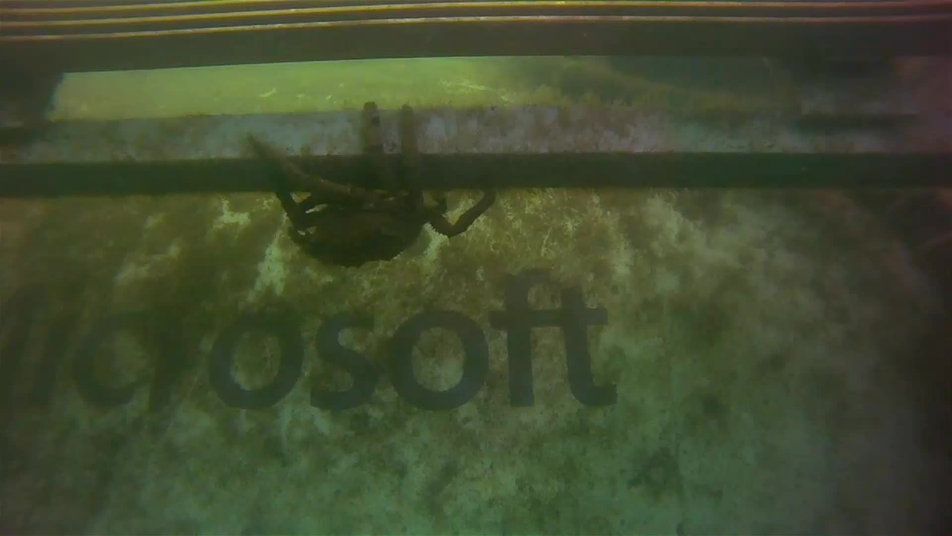 A crab crawls along the Leona Philpot, with the Microsoft logo in the background